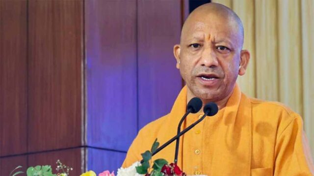 Yogi_01-14.jpg