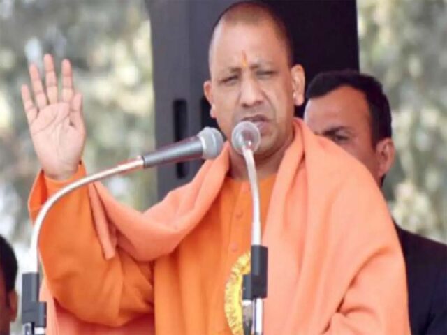 yogi-1.jpg