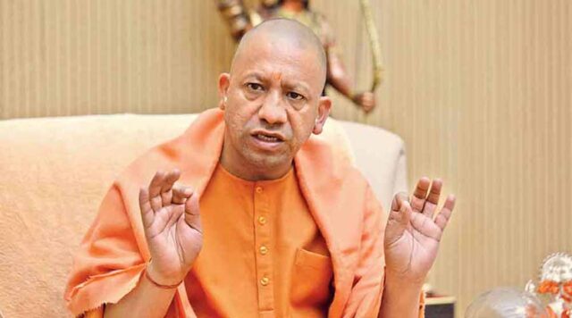 yogi_01-8.jpg