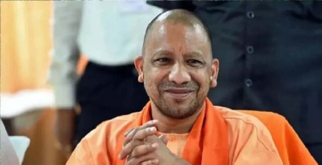 yogi_2_27_2-5.jpg