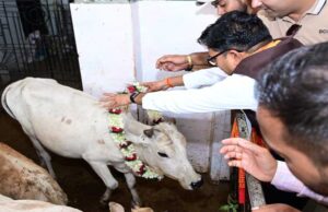 जन्मदिवस के अवसर पर वित्त मंत्री ओपी चौधरी ने की गौ-सेवा, संरक्षण के प्रयासों को सराहा