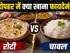 गर्मी में चावल या रोटी? एक्सपर्ट्स ने बताया दोपहर के लिए क्या है बेहतर विकल्प