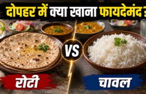 गर्मी में चावल या रोटी? एक्सपर्ट्स ने बताया दोपहर के लिए क्या है बेहतर विकल्प