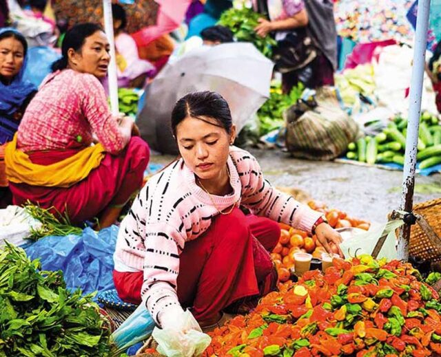 61-2.jpg