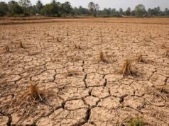 कन्नौज में 50 साल पुराने भू-सीलिंग विवाद का फैसला, 67 एकड़ जमीन सरकारी घोषित