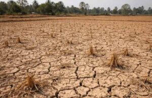 कन्नौज में 50 साल पुराने भू-सीलिंग विवाद का फैसला, 67 एकड़ जमीन सरकारी घोषित