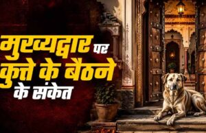 श्वान का धार्मिक महत्व: भैरव वाहन और सुरक्षा कवच की मान्यता