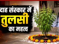 मृत्यु के बाद 13 दिन का रहस्य और तुलसी का महत्व, गरुड़ पुराण में छिपा जीवन का सच