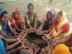 सीड बॉल बनाकर प्रकृति संरक्षण की अनूठी पहल, हरित जशपुर के निर्माण पर जोर