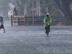 मध्य प्रदेश में मौसम का बदला मिजाज, 40 जिलों में बारिश और तेज हवाओं का अलर्ट