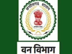 छत्तीसगढ़ वन विभाग में बड़ा फेरबदल, चार वरिष्ठ IFS अधिकारियों को मिली नई जिम्मेदारी