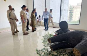 हाथी संरक्षण को मिलेगा नया बल, छत्तीसगढ़ में वन अमले को दी गई आधुनिक फोरेंसिक जांच की ट्रेनिंग