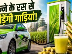 पेट्रोल-डीजल को मिलेगी टक्कर! गन्ने से बने ईंधन पर दौड़ेंगी गाड़ियां, MP के किसानों को होगा बड़ा फायदा