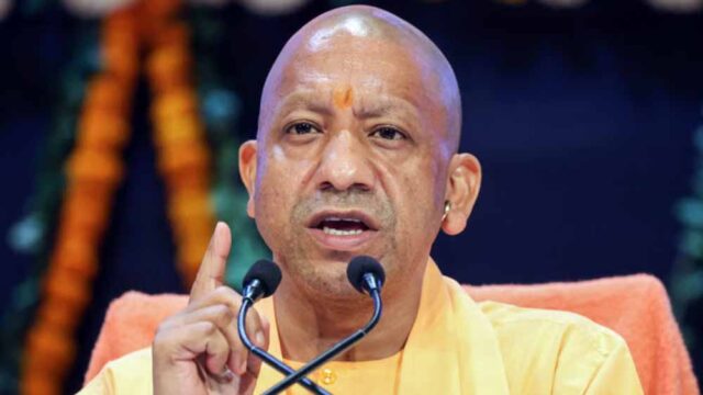 Yogi_5-4.jpg