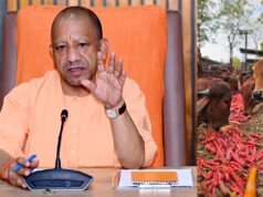 गो सेवा में देश-दुनिया के लिए रोल मॉडल बना यूपी