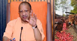 गो सेवा में देश-दुनिया के लिए रोल मॉडल बना यूपी