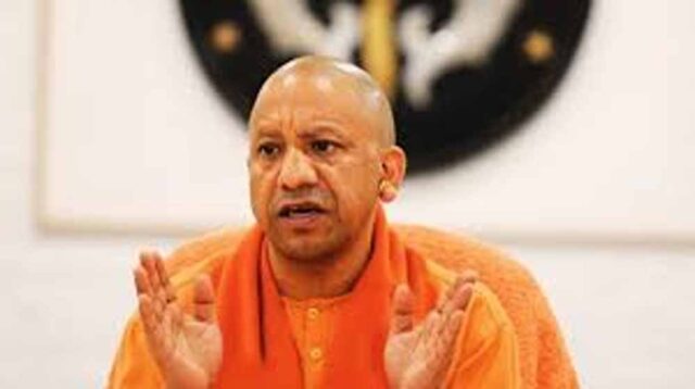 yogi_5-5.jpg
