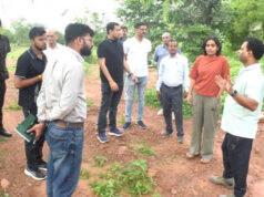 शहरों को हरा-भरा और प्रदूषण मुक्त बनाएगी नमो हरित-नगर योजना,