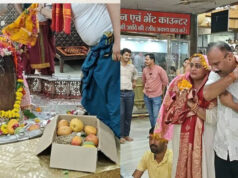 उज्जैन में बाबा महाकाल को चढ़ाया ₹2.5 लाख किलो वाला खास आम, जबलपुर के भक्त 12 साल से निभा रहे अनोखी परंपरा