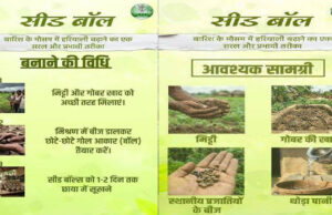 सीड बॉल अभियान- हरियाली बढ़ाने का सरल और प्रभावी माध्यम