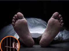 CG की जेलों में 5 साल में 375 कैदियों की मौत, 62 मामलों की रिपोर्ट अब तक लंबित