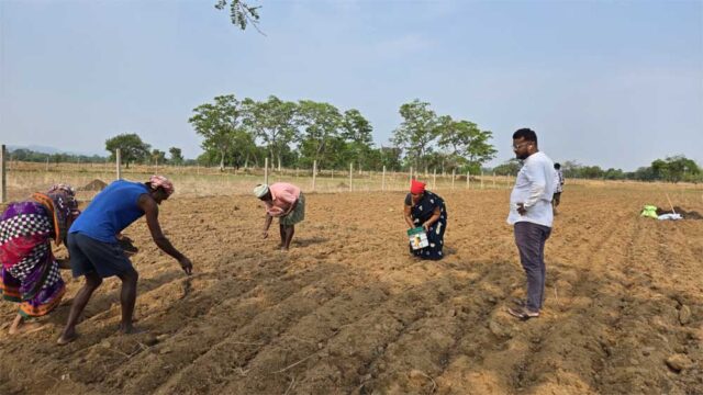 Farmer_01-1.jpg
