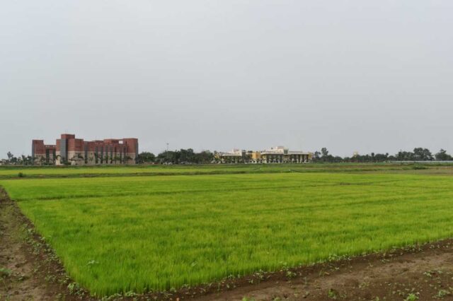 Kisan_01-4.jpg