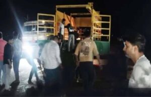 राजगढ़ में दर्दनाक हादसा, ट्रक ने टोल प्लाजा के पास 17 मवेशियों को रौंदा; बैरिकेड्स लगाकर चालक पकड़ा