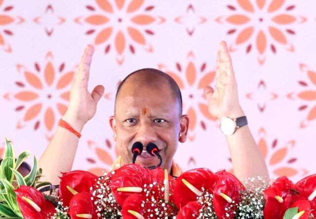 Yogi_02-16.jpg