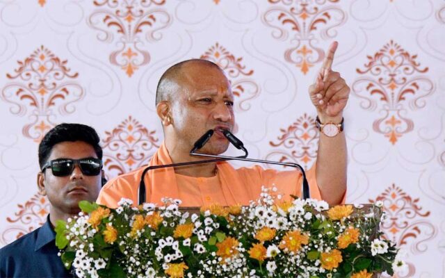 Yogi_05.jpg