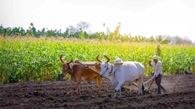 kISAN_01-6.jpg