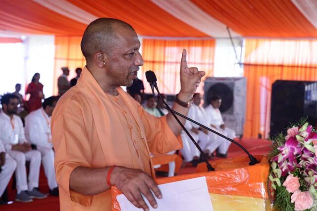 yOGI_03-11.jpg