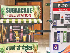 E20 पर बड़ा सवाल: ‘एथेनॉल के चक्कर में खाने के लाले न पड़ जाएं’, सरकार को किसने चेताया?