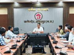 रेलवे ओवरब्रिज का कार्य गंभीरता एवं रुचि के साथ शीघ्र पूर्ण करें अधिकारी- कलेक्टर झा