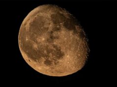चांद पर भी जिंदा रह सकते हैं धरती के माइक्रोब्स! NASA की स्टडी में बड़ा खुलासा