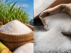 Govt On Sugar Price Hike: बेलगाम हुए चीनी के दाम, अल नीनो और रेड रॉट को लेकर सरकार ने बताई वजह