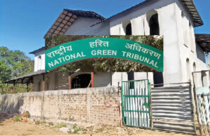 भोज वेटलैंड पर NGT सख्त, 50 मीटर FTL के भीतर सभी अवैध कब्जे हटेंगे; 31 अगस्त तक मांगी रिपोर्ट