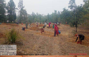 मनरेगा से बदली निम्मलगुड़ा की तस्वीर-500 जल अवशोषण ट्रेंच से बढ़ा भू-जल स्तर, 1,801 मानव-दिवस का मिला रोजगार