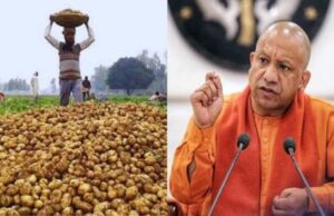 आलू किसानों के लिए योगी सरकार का बड़ा फैसला, 1000 करोड़ के भाव स्थिरता कोष समेत 3 योजनाएं लागू