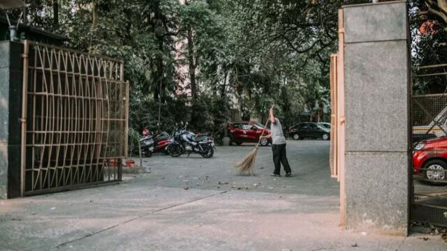 97.jpg