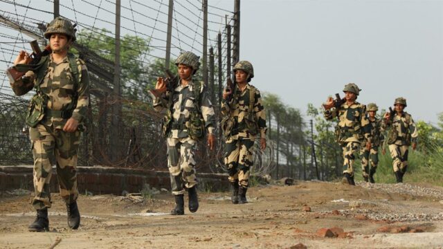 BSF_82_3.jpg