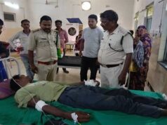 बाघिन ने किया चरवाहे पर हमला, भैंसों की वफादारी से बची जान