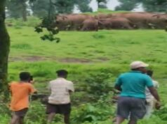 जशपुर की कैलाश गुफा में उमड़ेगा आस्था का सैलाब, हजारों कांवड़िए करेंगे दर्शन; 16 हाथियों ने डाला डेरा