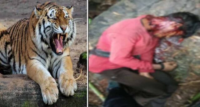 Chhattisgarh_News_05-3-21.jpg