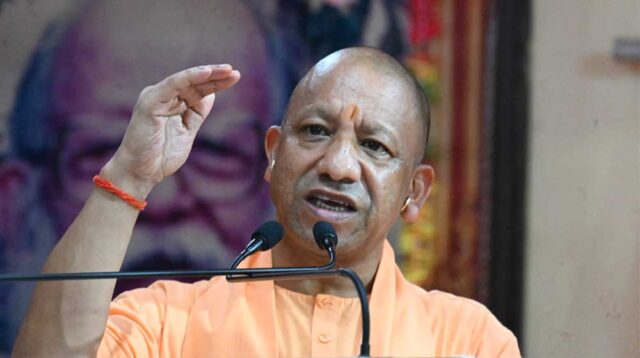 Yogi_01-18.jpg