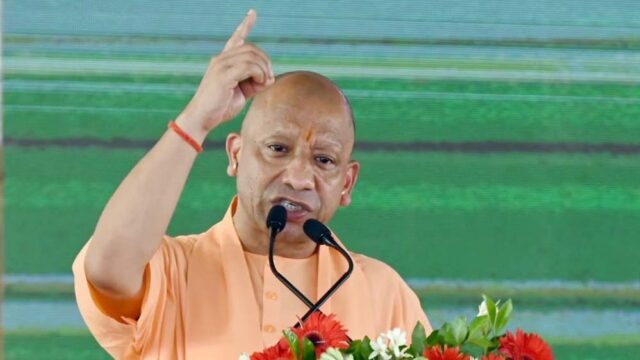 cm_yogi_11.jpg