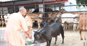सीएम योगी की गोसंरक्षण नीति का असर : करोड़ों कमा रहे युवा, बढ़ रहा रोजगार