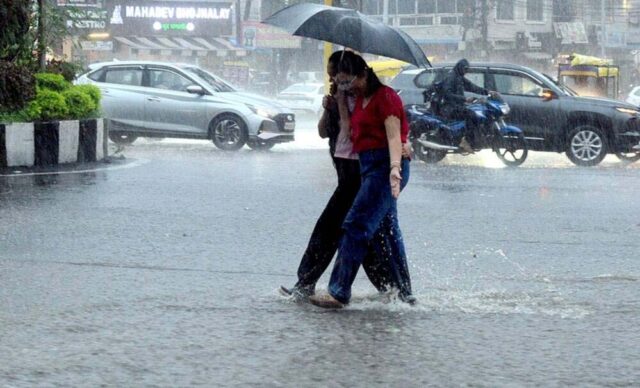 rain_7A_34_2.jpg