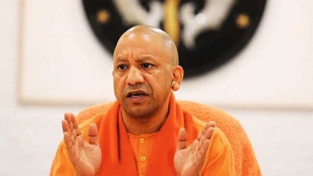 yOGI02.jpg