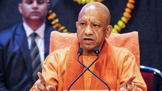 yogi2.jpg